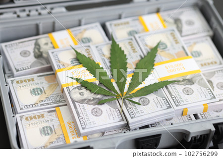 Fresh cannabis leaf on cash money pile in open briefcase 102756299