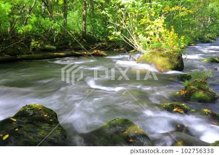 [Aomori Prefecture] Fresh green Oirase Stream (Sanran no Nagare) 102756338