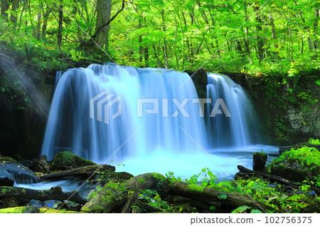 [青森縣]新鮮的綠色奧入瀨溪流（Choshi Otaki） 102756375