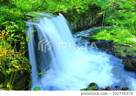 [青森縣]新鮮的綠色奧入瀨溪流（Choshi Otaki） 102756378