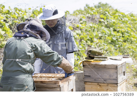 養蜂業形象 男子從事養蜂工作 102756389
