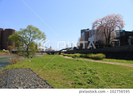 Kibushi green space in spring Kibushi green space in spring 102756595