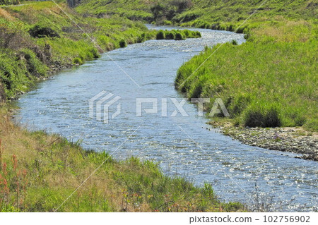 spring stream 1 102756902