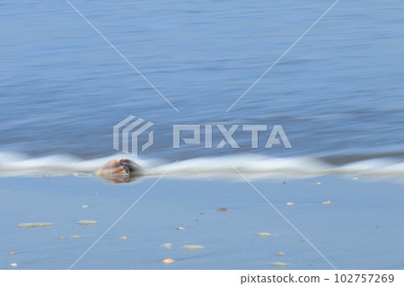 Boso sea and beach 102757269