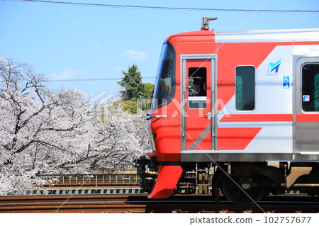 Cherry tree and Meitetsu train Cherry tree and Meitetsu train 102757677