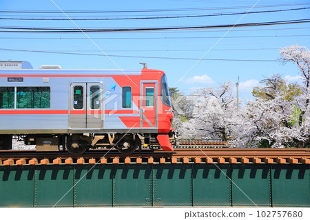 櫻桃樹和名鐵火車 櫻桃樹和名鐵火車 102757680