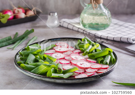 Fresh vitamin salad of radish and green onions on a plate on the table Fresh vitamin salad of radish and green onions on a plate on the table 102759560