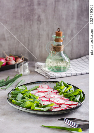 Fresh vitamin salad of radish and green onions on a plate on the table vertical view Fresh vitamin salad of radish and green onions on a plate on the table vertical view 102759562
