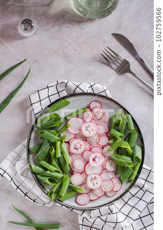 Spring homemade radish and chives salad on a plate on the table top and vertical view Spring homemade radish and chives salad on a plate on the table top and vertical view 102759566