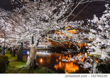 《東京》不忍池盛開，上野公園春天 102760280