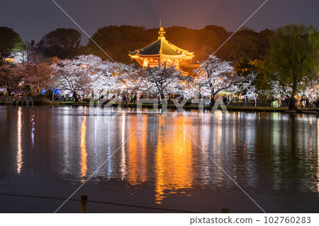 《Tokyo》 Shinobazu Pond in full bloom, Ueno Park in spring 《Tokyo》 Shinobazu Pond in full bloom, Ueno Park in spring 102760283