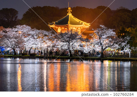 《東京》不忍池盛開,上野公園春天 《東京》不忍池盛開,上野公園春天 102760284