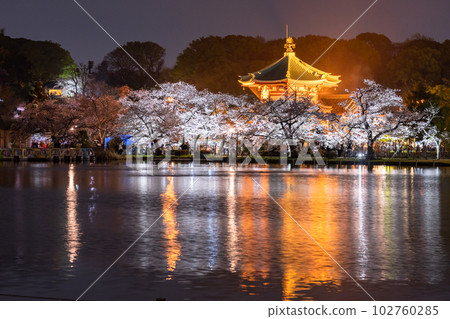 《Tokyo》 Shinobazu Pond in full bloom, Ueno Park in spring 《Tokyo》 Shinobazu Pond in full bloom, Ueno Park in spring 102760285