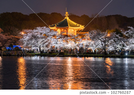 《東京》不忍池盛開，上野公園春天 102760287