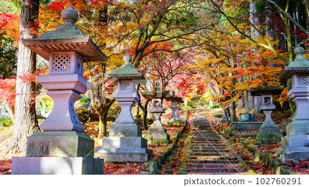 秋葉清水寺入場 秋葉清水寺入場 102760291