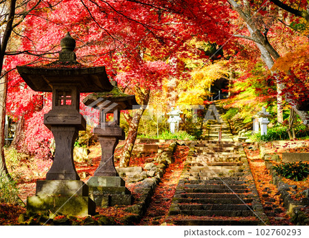 秋葉清水寺入場 秋葉清水寺入場 102760293