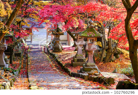 Kiyomizu Temple approach 102760296