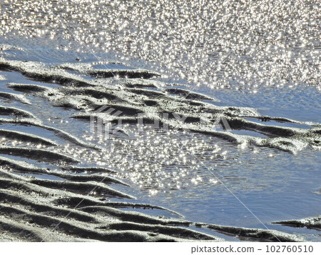 Glitter of tidal flats Glitter of tidal flats 102760510
