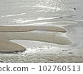 落潮海灘2 102760513