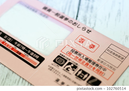 選舉圖片（投票指南郵件） 102760514