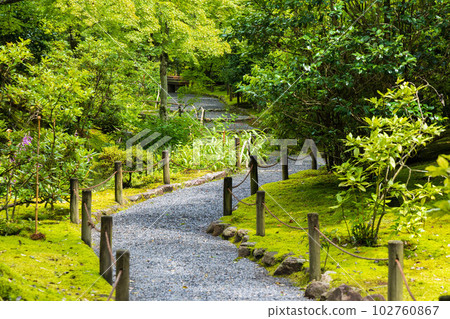 京都嵯峨嵐山之夏世界遺產天龍寺曹源地庭園 102760867