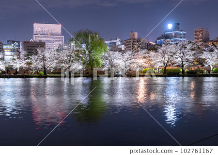 《Tokyo》 Shinobazu Pond in full bloom, Ueno Park in spring 《Tokyo》 Shinobazu Pond in full bloom, Ueno Park in spring 102761167