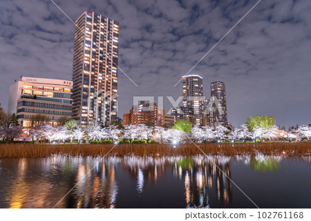 《Tokyo》 Shinobazu Pond in full bloom, Ueno Park in spring 《Tokyo》 Shinobazu Pond in full bloom, Ueno Park in spring 102761168