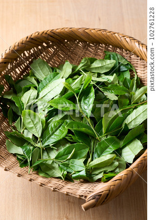 tea leaves in a colander 102761228