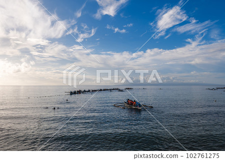 Whale shark watching activity in Oslob, cebu island, philippines 102761275