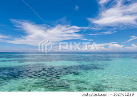 seascape of oslob in cebu island, philippines 102761289