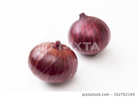 早紅白背 102762189