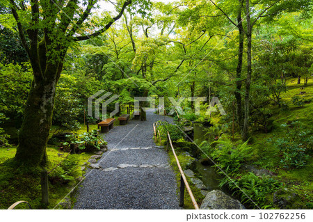 京都嵯峨嵐山之夏世界遺產天龍寺曹源地庭園 京都嵯峨嵐山之夏世界遺產天龍寺曹源地庭園 102762256