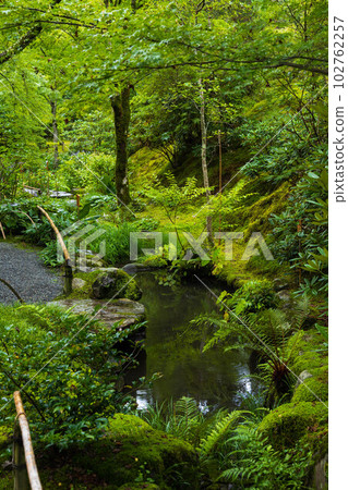 京都嵯峨嵐山之夏世界遺產天龍寺曹源地庭園 京都嵯峨嵐山之夏世界遺產天龍寺曹源地庭園 102762257