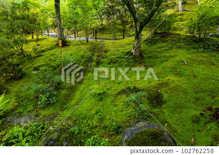 京都嵯峨嵐山之夏世界遺產天龍寺曹源地庭園 京都嵯峨嵐山之夏世界遺產天龍寺曹源地庭園 102762258