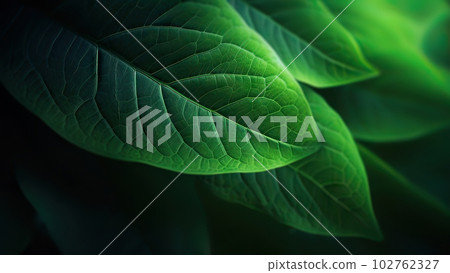 Abstract Natural Background with Green Leaves Closeup Abstract Natural Background with Green Leaves Closeup 102762327