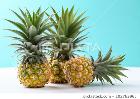 Thai pineapple fruit in summer season, Tropical fruit Thai pineapple fruit in summer season, Tropical fruit 102762963