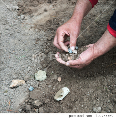 Male hands choose stones from the ground 102763369