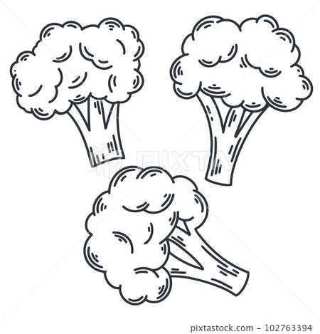 Broccoli sketch set 102763394