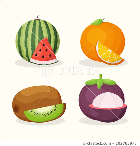 Collection of Summer Fruit Illustration Collection of Summer Fruit Illustration 102763975