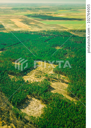 Aerial View Of Deforestation Area Landscape. Green Pine Forest In Deforestation Zone. Top View Of Forest Landscape. Drone View. Bird's Eye View Aerial View Of Deforestation Area Landscape. Green Pine Forest In Deforestation Zone. Top View Of Forest Landscape. Drone View. Bird's Eye View 102764005