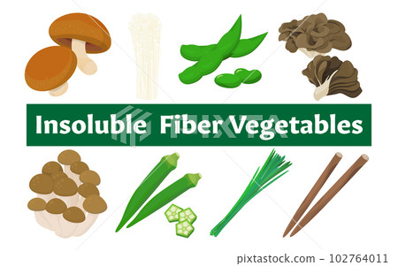 含有不溶性膳食纖維的蔬菜的矢量圖解。 102764011