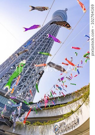 墨田區,東京東京晴空塔和鯉魚旗 墨田區,東京東京晴空塔和鯉魚旗 102764169