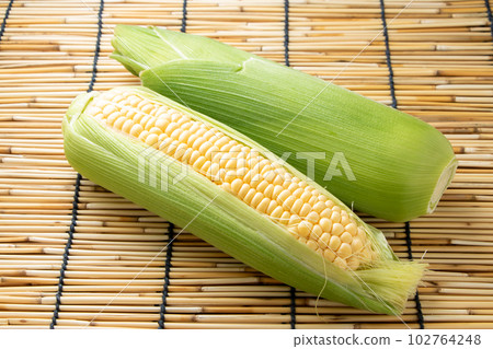 玉米。帶背景百葉窗的夏季圖像。 玉米。帶背景百葉窗的夏季圖像。 102764248