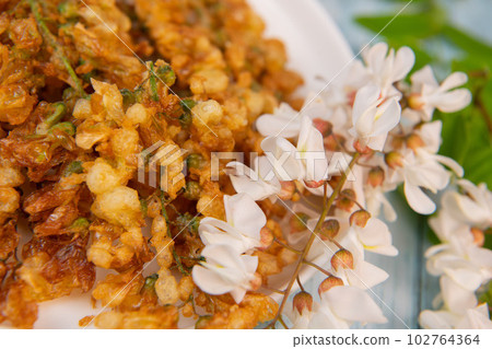 Acacia flowers fritters, Blossoming acacia with leafs, , Robinia pseudoacacia, White acacia 102764364