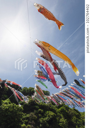 一群鯉魚飄遊在五月的藍天 一群鯉魚飄遊在五月的藍天 102764402