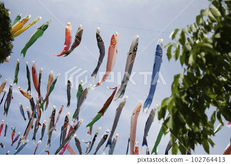 A flock of carp streamers swimming in the blue sky of May A flock of carp streamers swimming in the blue sky of May 102764413