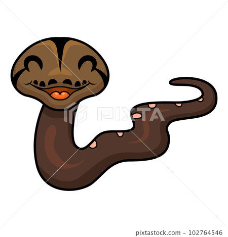 Cute golden child phantom reticulatus python cartoon 102764546