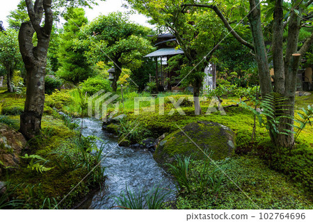 京都嵯峨嵐山之夏世界遺產天龍寺 京都嵯峨嵐山之夏世界遺產天龍寺 102764696