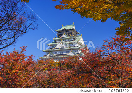 Osaka castle tower, autumn foliage season, viewed from the Nishinomaru garden Osaka castle tower, autumn foliage season, viewed from the Nishinomaru garden 102765200