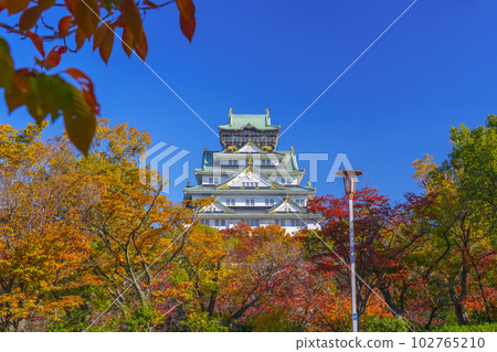 大阪天守閣,紅葉季節,從西之丸庭園眺望 大阪天守閣,紅葉季節,從西之丸庭園眺望 102765210